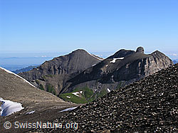F026415: Schwalmere, Drättehorn