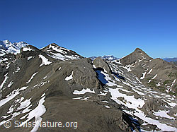 F026422: Hundshorn, Wild Andrist, Rote Härd