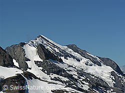 Foto: Doldenhorn und Doldenhorngletscher