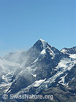 Foto: Hundshorn: Mönch, Eigergletscher, Guggigletscher