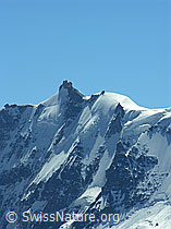 F026526: Gletscherhorn und Gletscherjoch