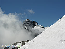 F026591: Wolke, Gspaltenhorn, Bütlasse, Schneeflanke