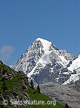 F026718: Mönch