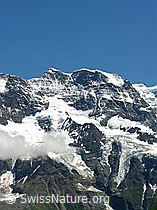 F026736: Mittaghorn