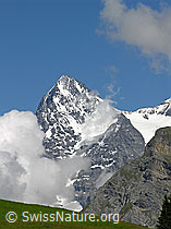 F026743: Eiger