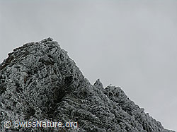 F030304: Tälli, Binntal, Wallis