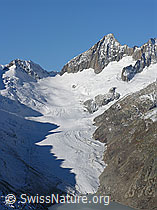 Foto: Oberaarhorn und Oberaargletscher mit Schattenbild eines Felsgrates