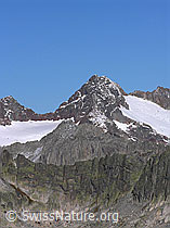 Photo: Sidelhorn: Steinlauihorn und Ärlengletscher