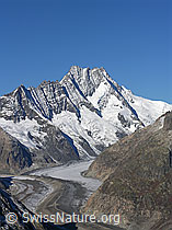 Foto: Unteraargletscher, Lauteraarhorn und Schreckhorn
