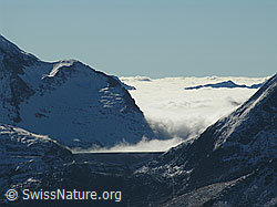 F030836: Sidelhorn: Staumauer Griessee