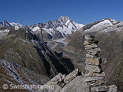 Foto: Steinmann auf Sidelhorn und Berner Alpen