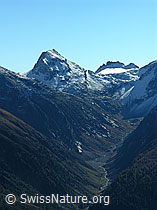 Photo: Geretal, Chüebodenhorn, Chüebodengletscher