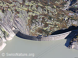 F030889: Staumauer Spittellamm (Grimselsee)