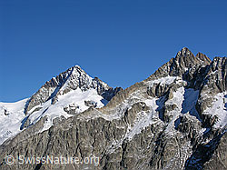 F030966: Aletschhorn und Gross Fusshorn