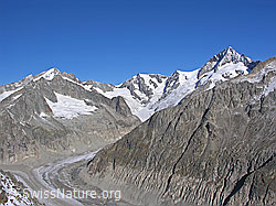 F030973: Oberaletsch