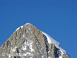 F030992: Nesthorn