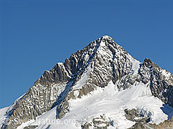 F030996: Gipfelaufbau des Aletschhorn