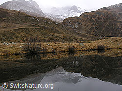 F032761: Halsesee, Binntal, im Herbst mit Spiegelung