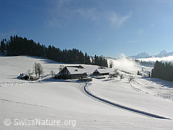 F033028: Bauernhof in schneebedeckter Emmentaler Winterlandschaft