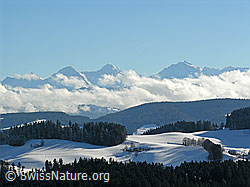 F033183: Winterlandschaft Emmental und Eiger, Mönch, Junfrau