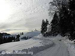 F033405: Hinterarni, Sumiswald, Emmental