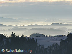 F033485: Vorderarni, Sumiswald, Emmental