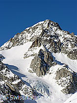 F033598: Vorder Galmihorn und Bächigletscher