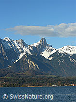 F034014: Stockhorn