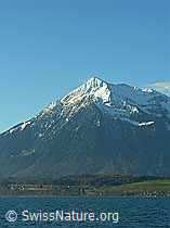 F034016: Niesen, Thunersee