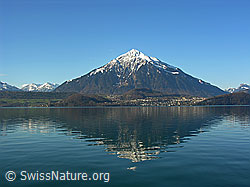F034043: Niesen mit Spiegelung im Thunersee