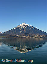 F034044: Spiegelung des Niesen im Thunersee