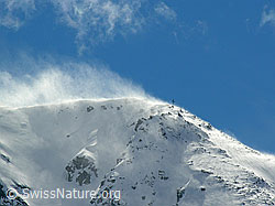 F034357: Schneefahne am Hirli