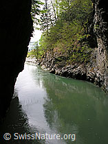 F035117: Are bei Aareschlucht