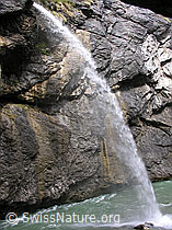 F035126: In einem Wasserfall mündet ein Bach in die Aareschlucht ein