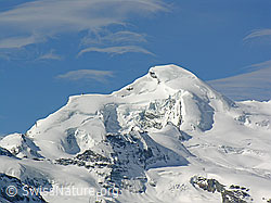 F035697: Allalinhorn