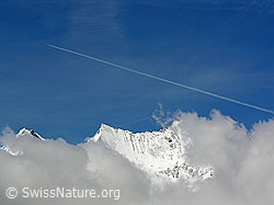 F035795: Dom und Lenzspitze