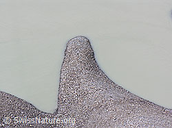 F036715: Seeufer Grimselsee (Stausee)