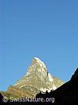 F036947: Matterhorn, Zermatt