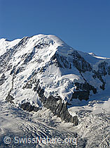 F036962: Liskamm