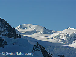 Foto: Parrotspitze und Grenzgletscher