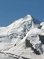 F037028: Castor