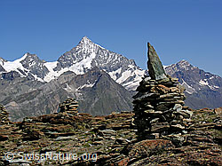 F037035: Weisshorn