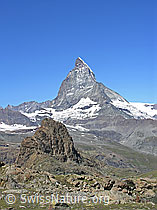 F037046: Riffelhorn und Matterhorn