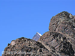 F037068: Riffelhorn