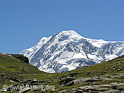 F037087: Liskamm
