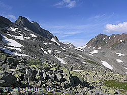 F037309: Blattjegrat, Mättital