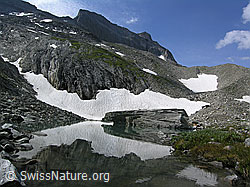 F037328: Mättitalsee: Spiegelung Schneefeld und Felsblock in Bergsee