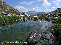 F037356: Wasserbecken im Mättital