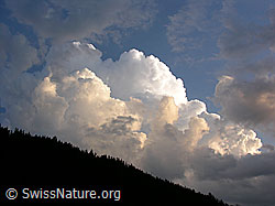 F037674: Farbige Quellwolkentürme über Waldrücken