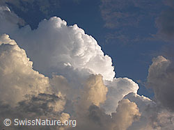 F037676: Rötliche und weisse Quellwolken mit blauem Himmel